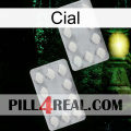 Cial 17